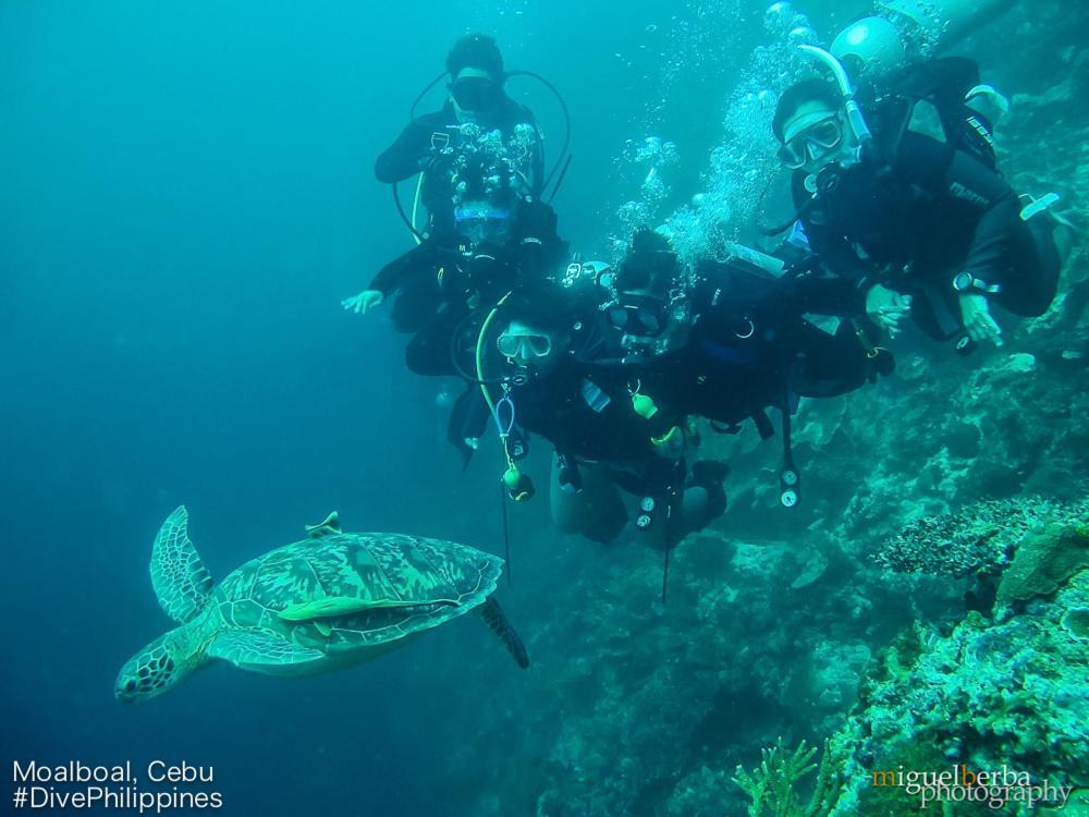 Asian Belgian Dive Resort Моалбоал Экстерьер фото